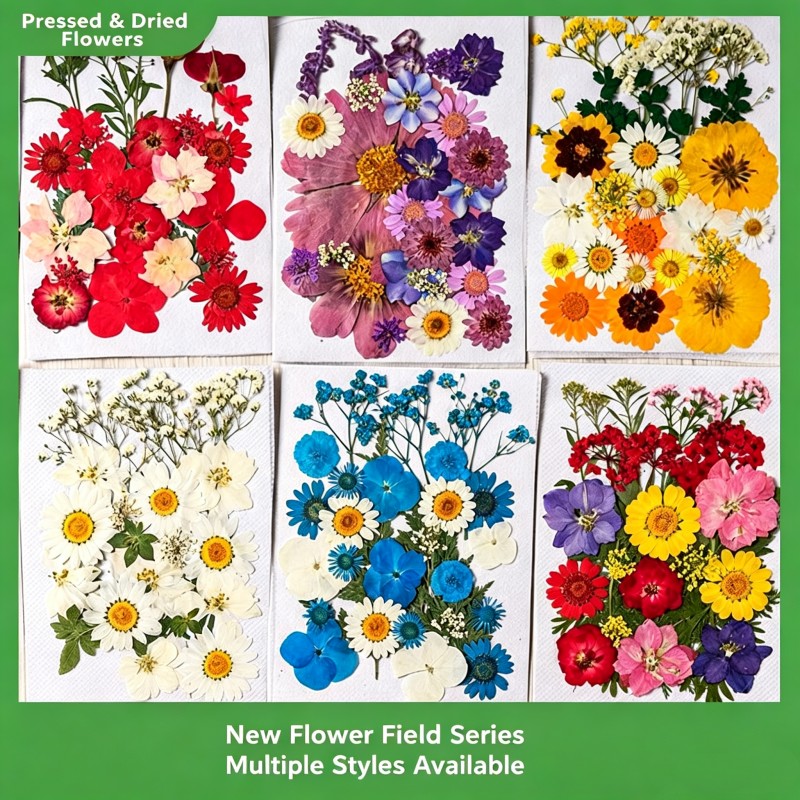 35Pcs10 Set of Dried Flowers a – обзор и цена Candle Making Set
