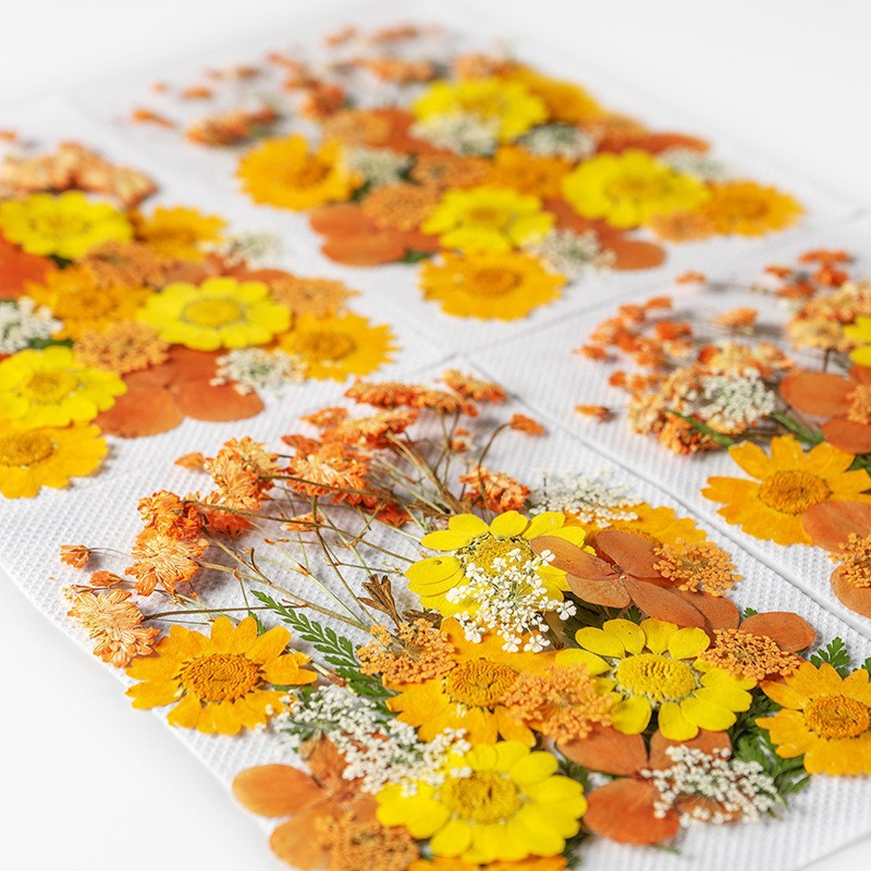 35Pcs10 Set of Dried Flowers a – обзор и цена Candle Making Set